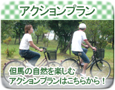 �A�N�V�����v����