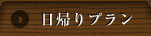 日帰りプラン